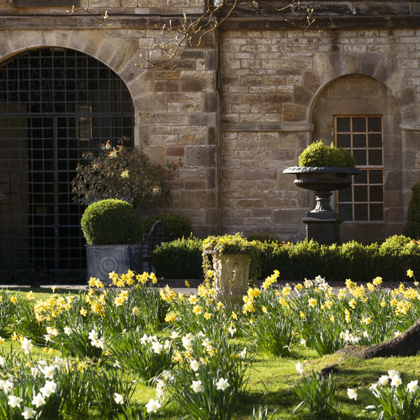 Spring is in the air